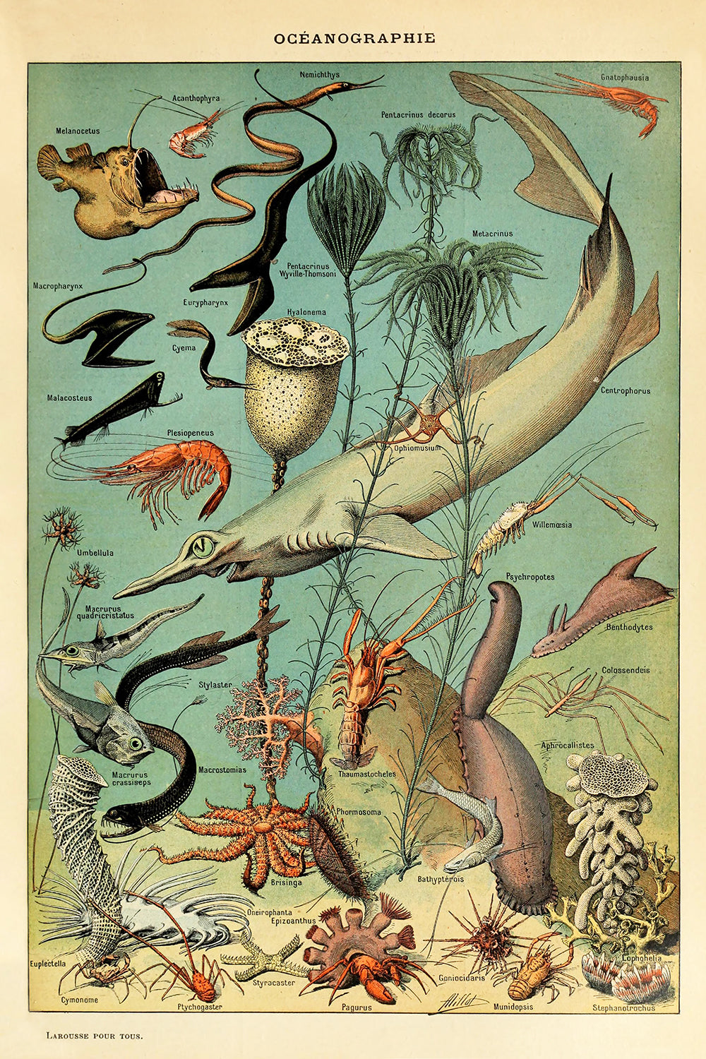 Oceanographie