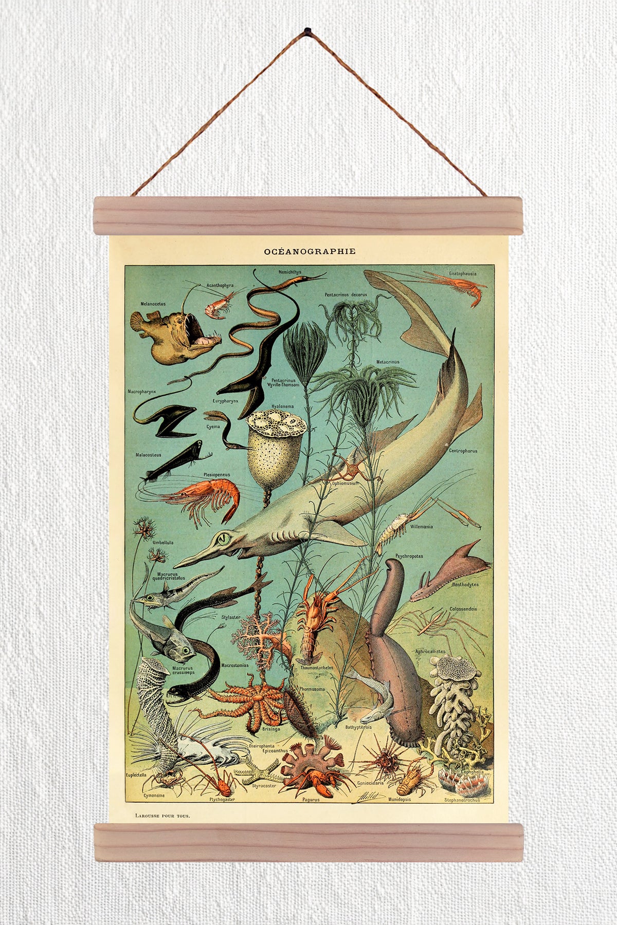 Oceanographie