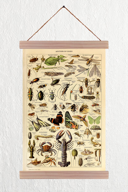 Athropodes