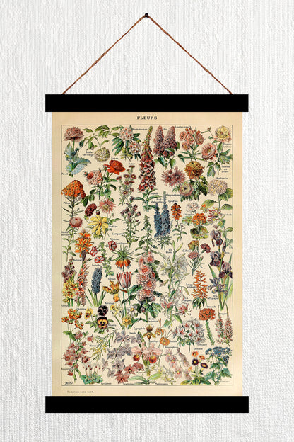 Fleurs