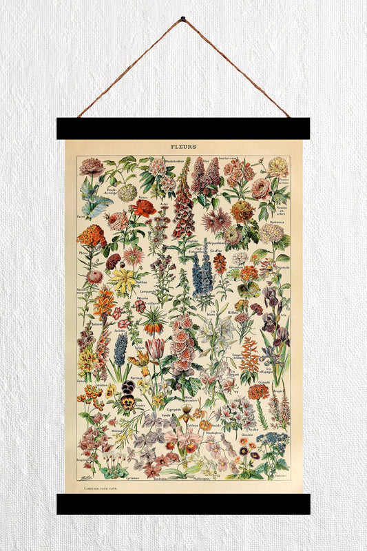 Fleurs