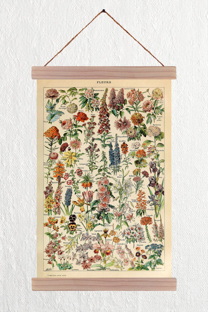 Fleurs