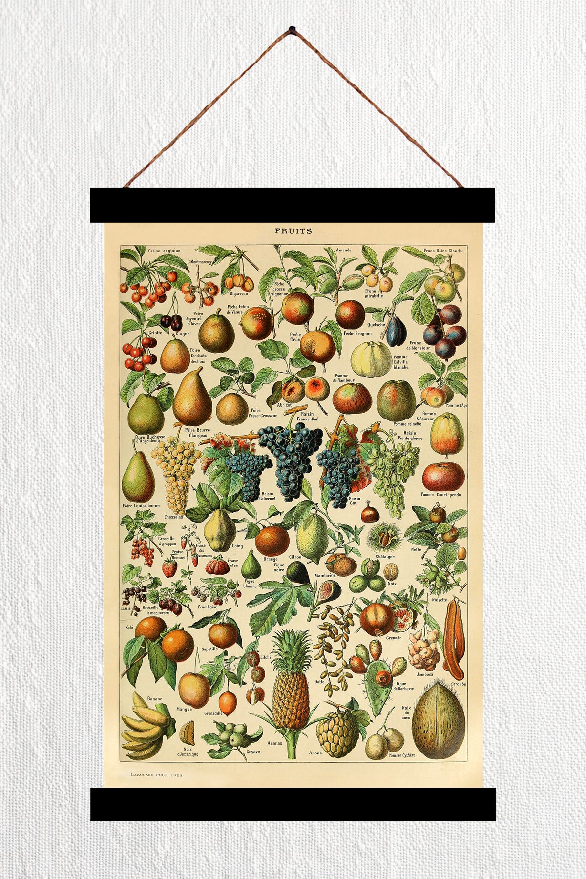 Fruits