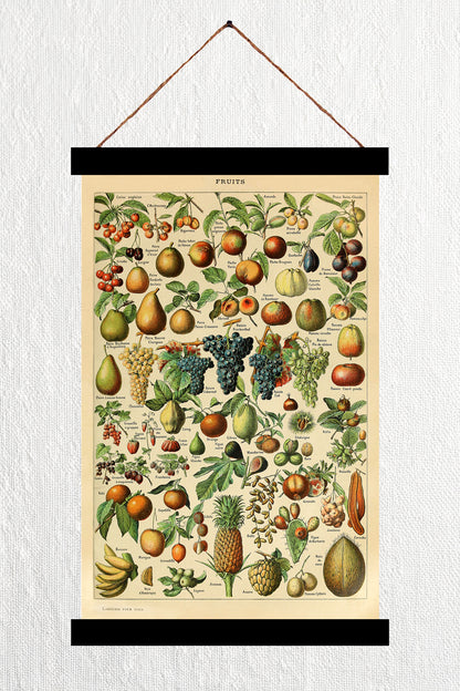 Fruits