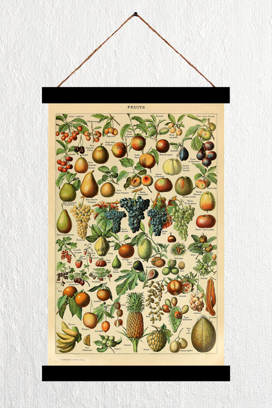 Fruits