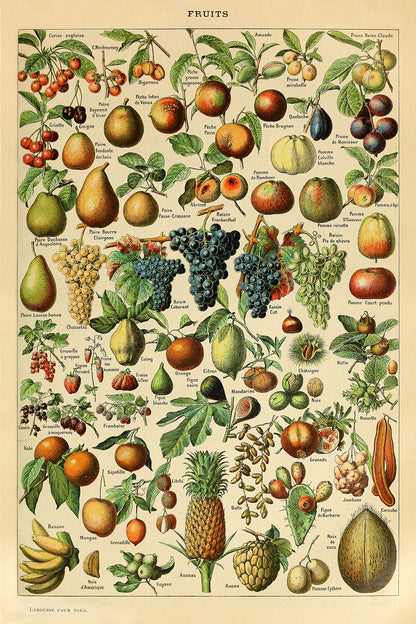 Fruits