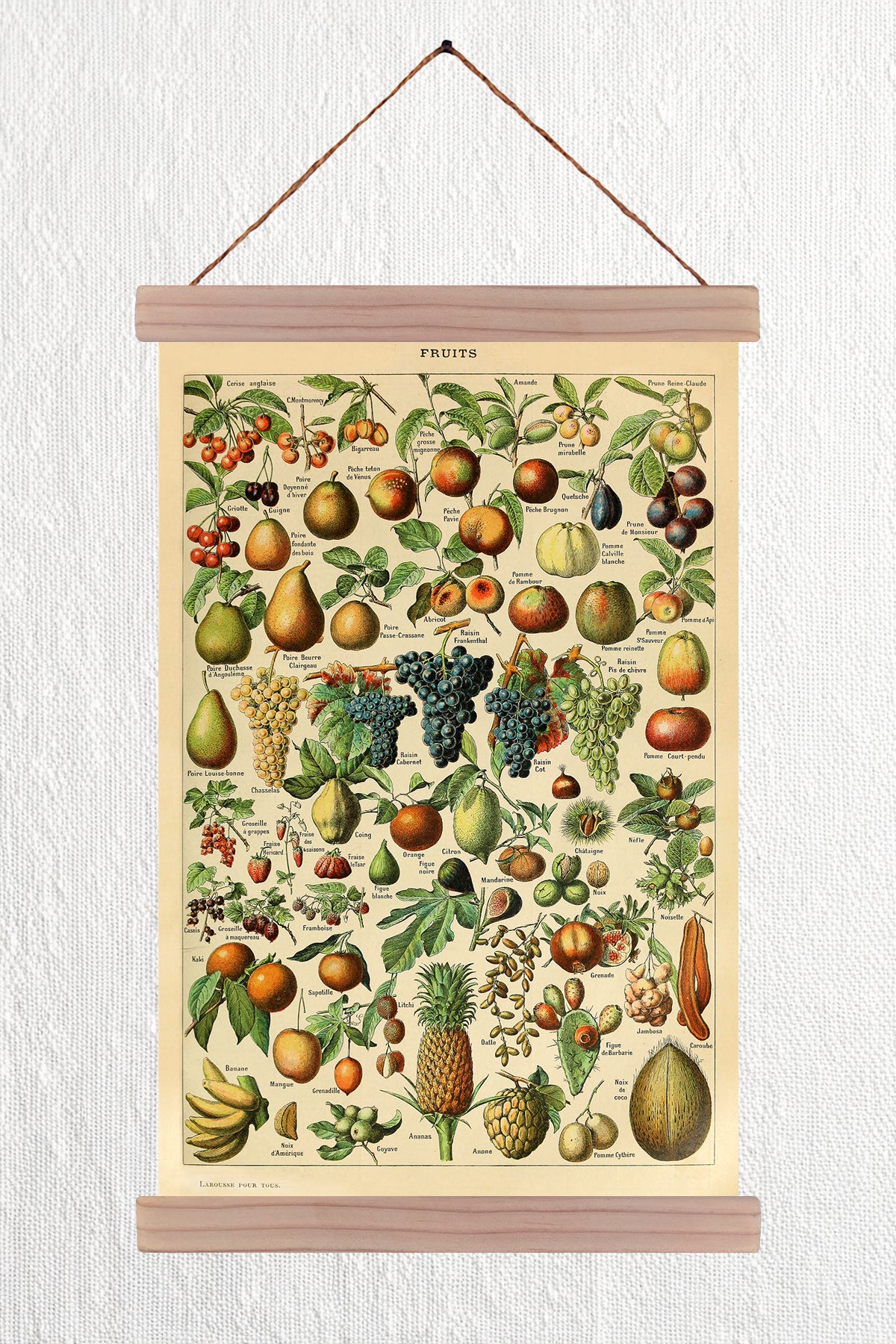 Fruits