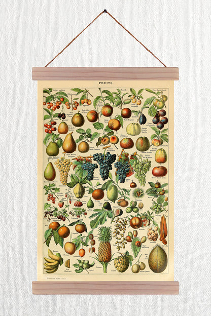 Fruits