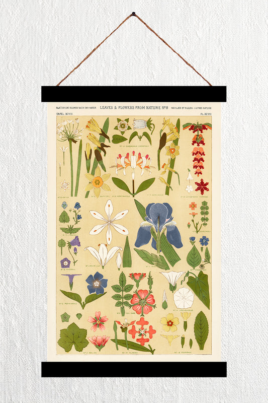 Leaves & Flowers from Nature No 8