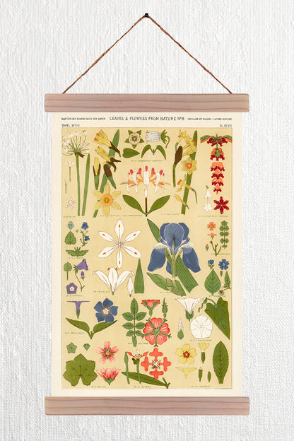 Leaves & Flowers from Nature No 8