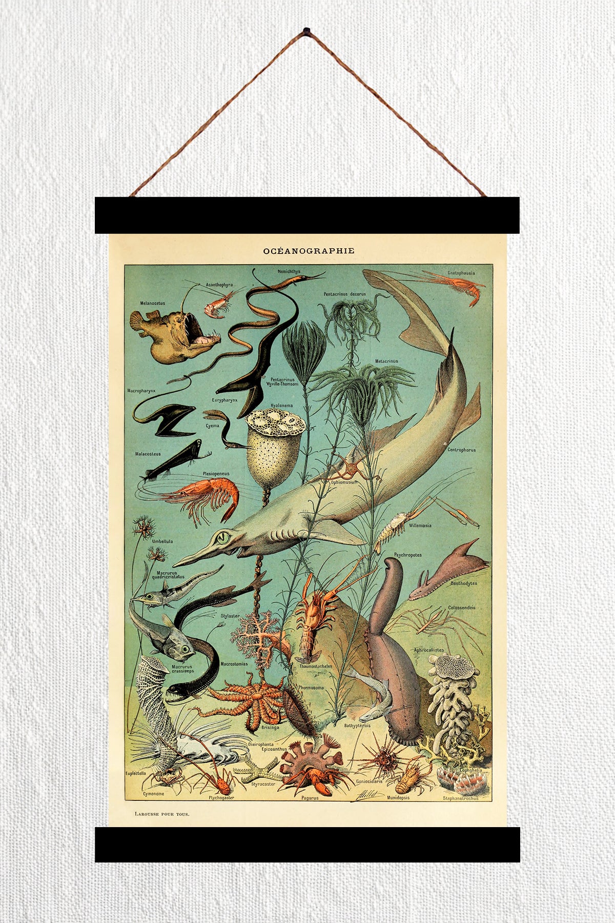 Oceanographie