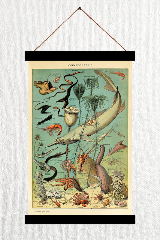 Oceanographie