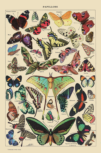 Papillons