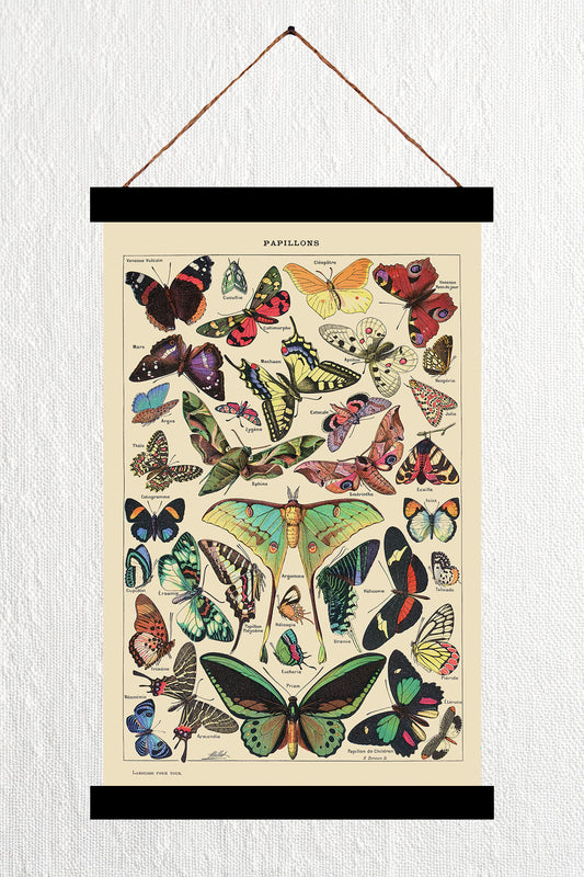 Papillons