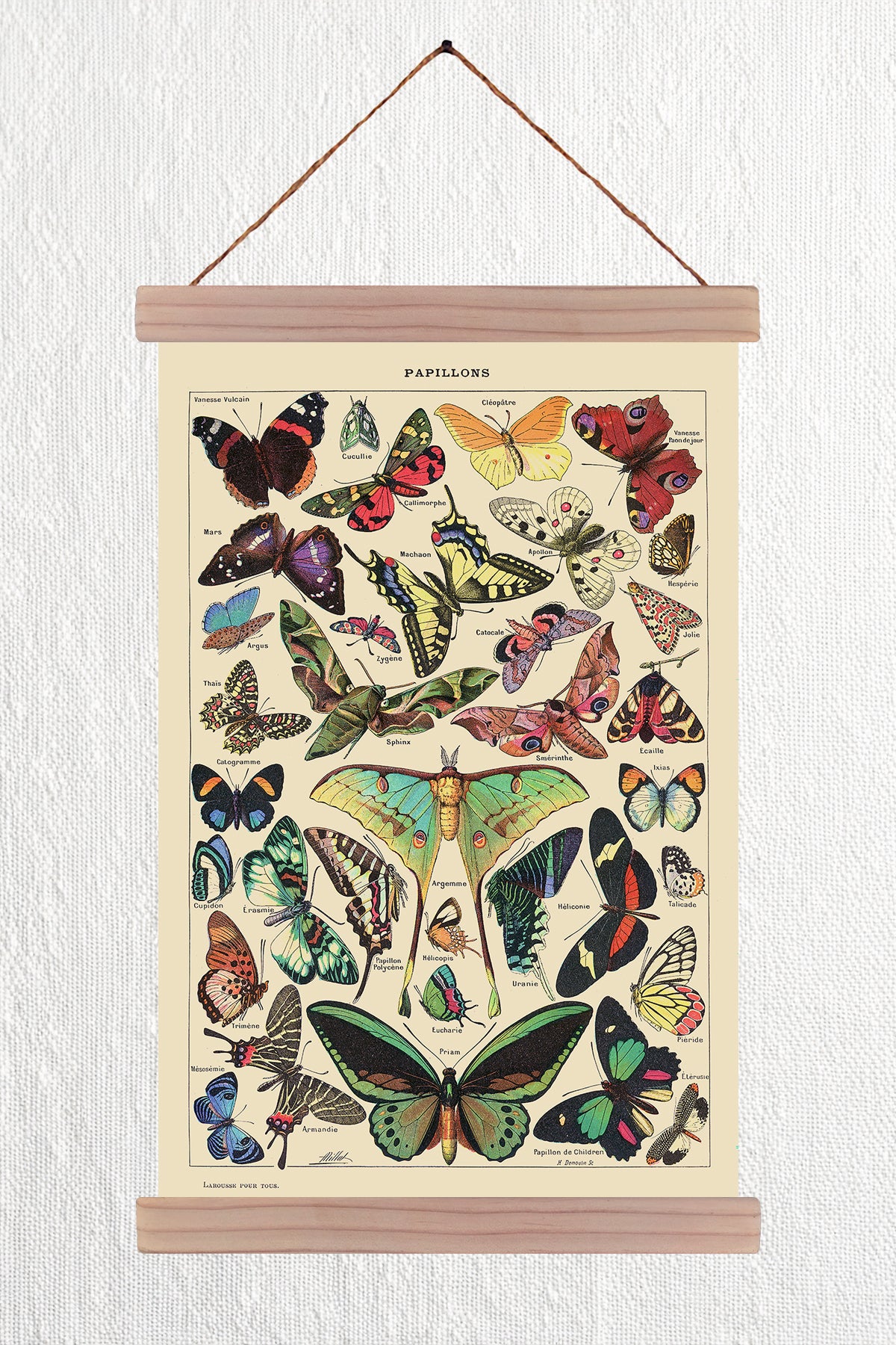 Papillons