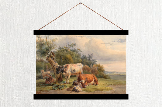 Resting Cows