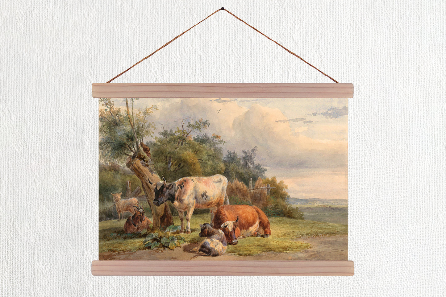 Resting Cows