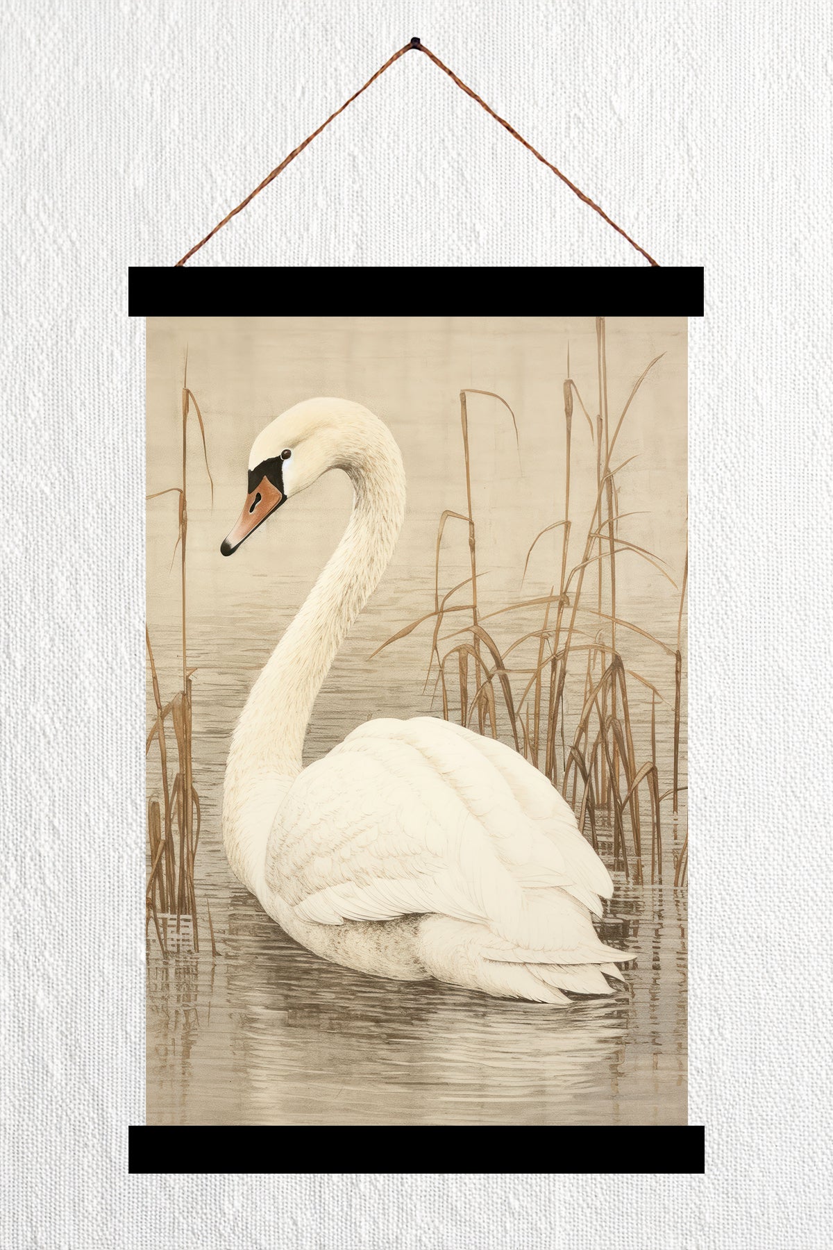 Swan