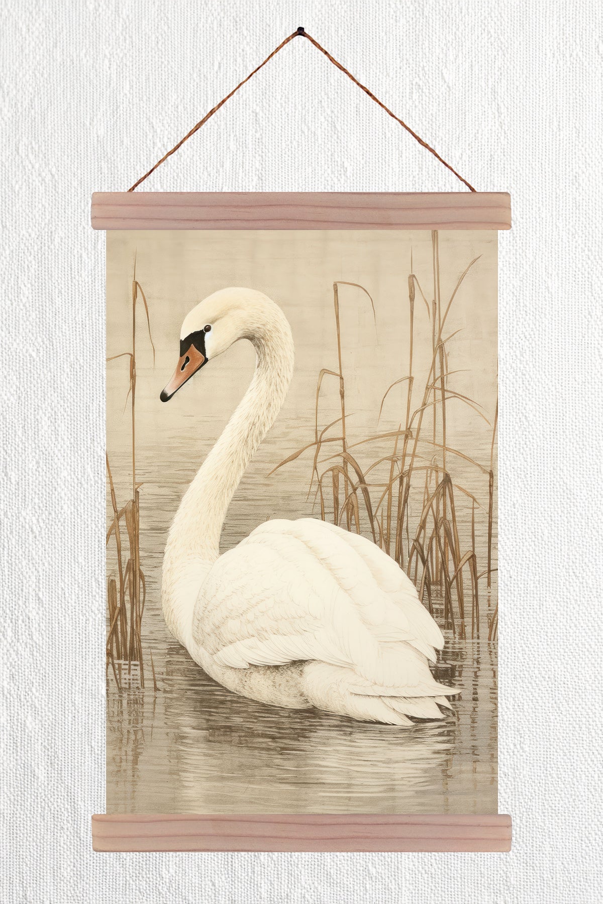 Swan