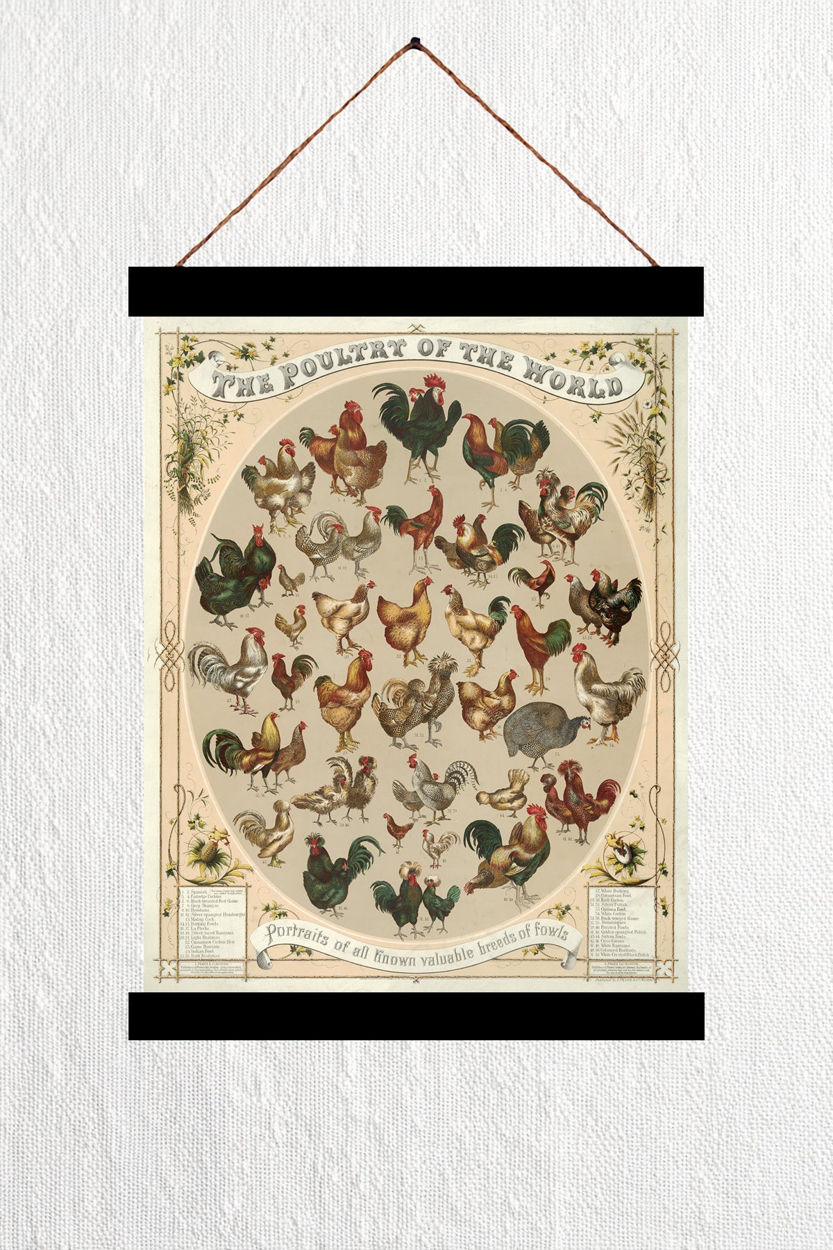 The Poultry of the World 1868