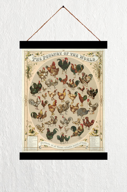 The Poultry of the World 1868