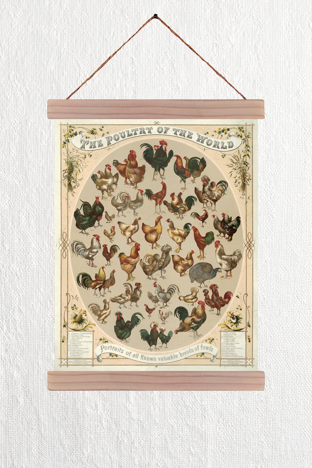 The Poultry of the World 1868