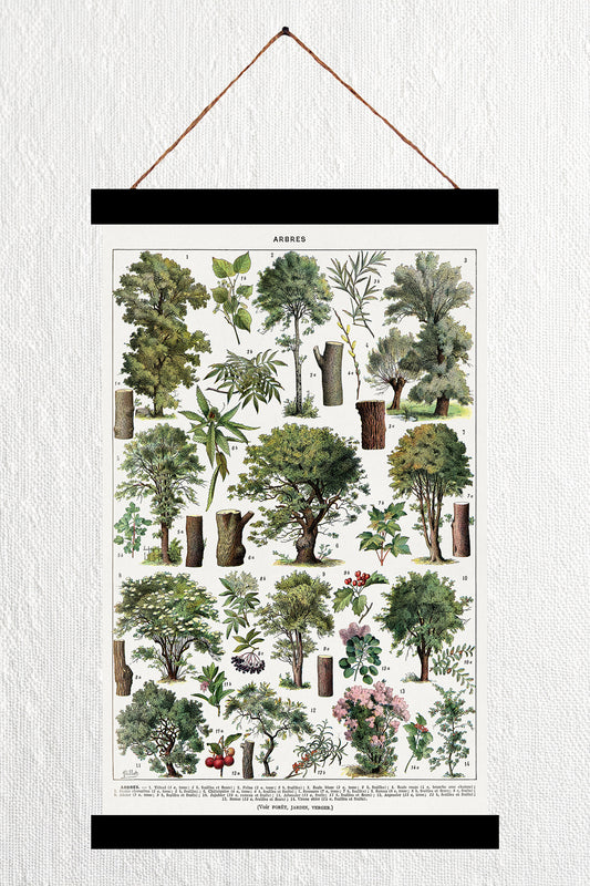 Trees in Colour