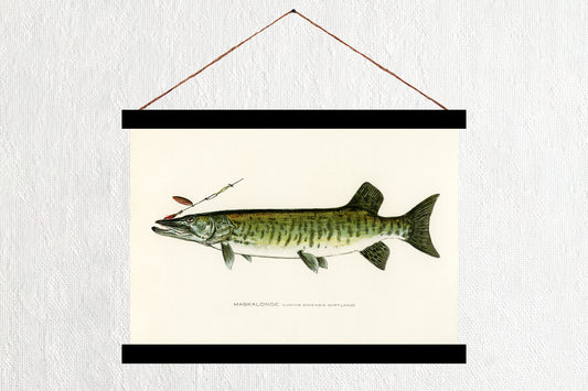 Muskie