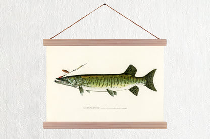 Muskie