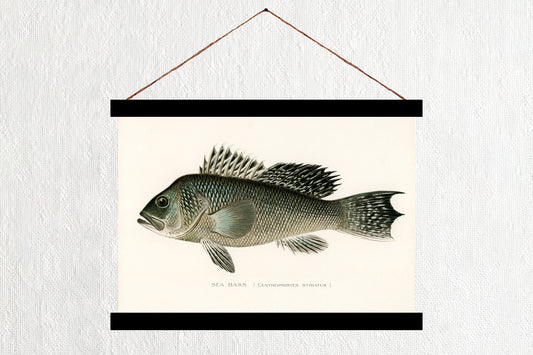 Sea Bass