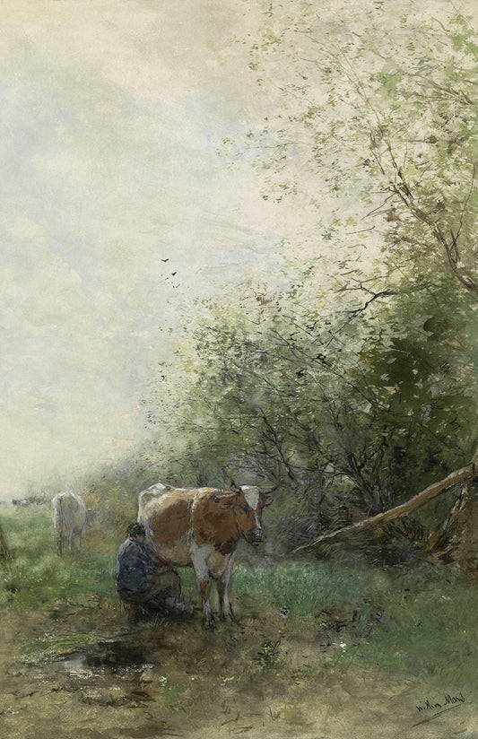 Milking Cows
