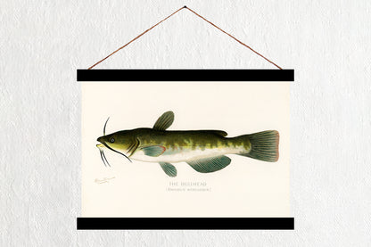 The Bullhead