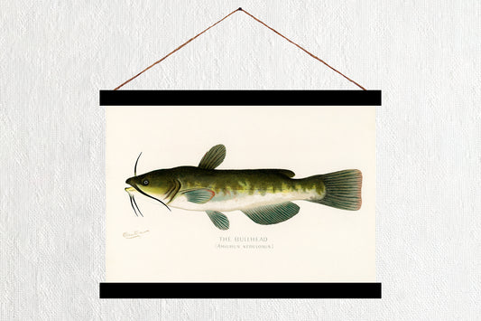 The Bullhead