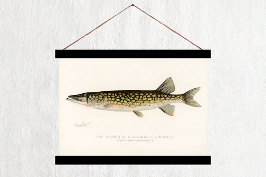 The Pickerel
