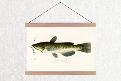 The Bullhead